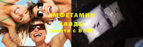 прущие грибы Волосово