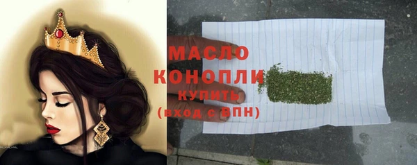 гидра Володарск