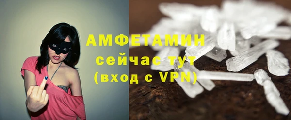 гидра Володарск
