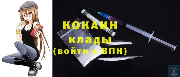 прущие грибы Волосово