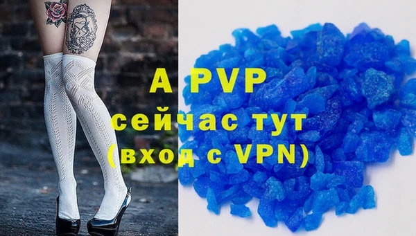 прущие грибы Волосово