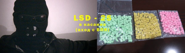 прущие грибы Волосово