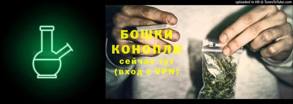 PSILOCYBIN Хадыженск