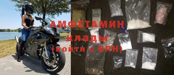 гидра Володарск