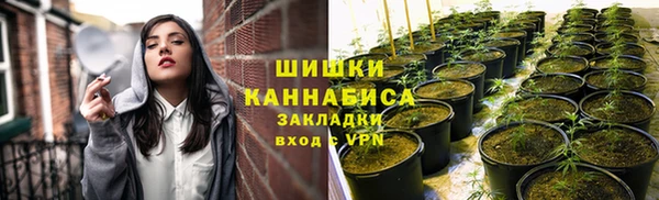 гидра Володарск