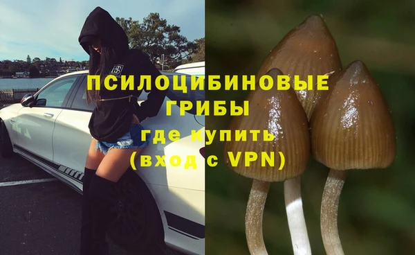 прущие грибы Волосово