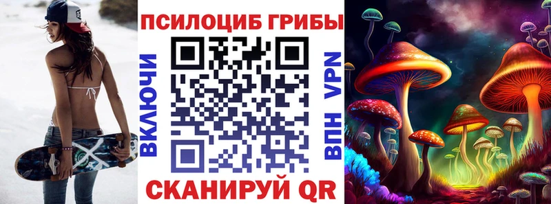 где купить   Мариинск  Галлюциногенные грибы Magic Shrooms 