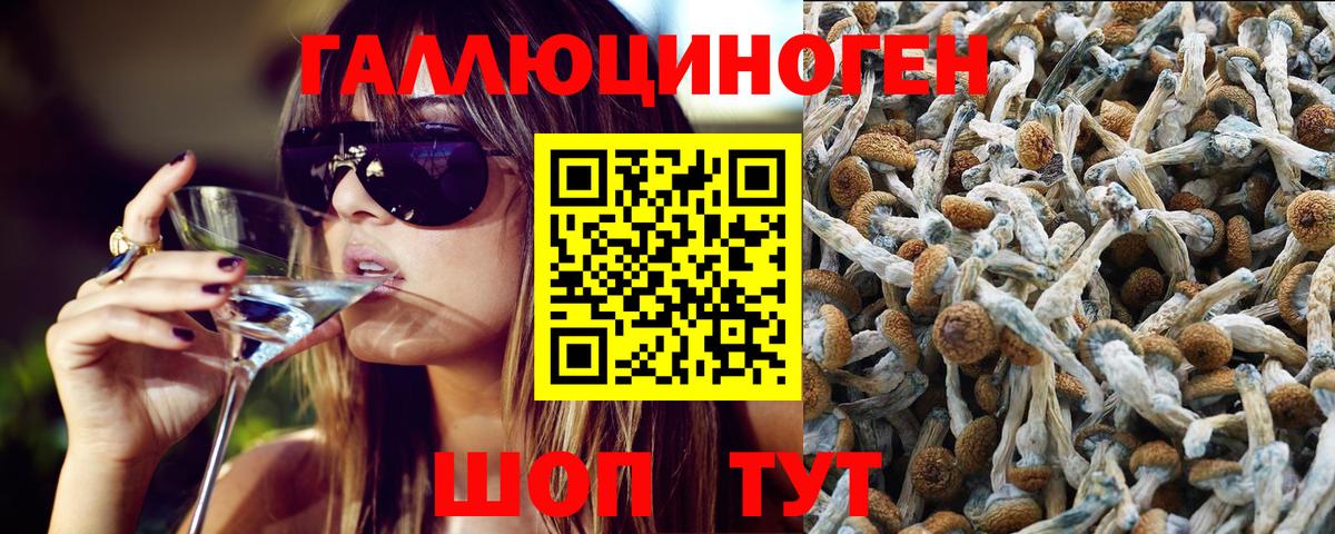 Псилоцибиновые грибы Psilocybe  Псилоцибиновые грибы ЛСД  Мариинск  Вход с VPN 